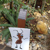 Botanická zahrada Teplice